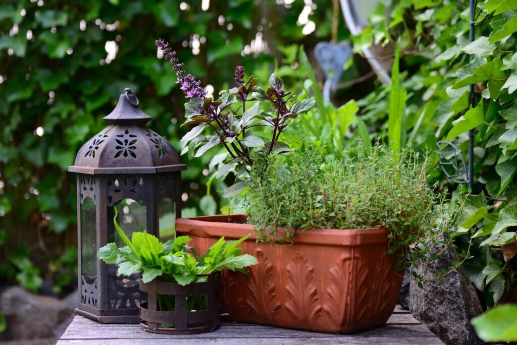 Herb Garden